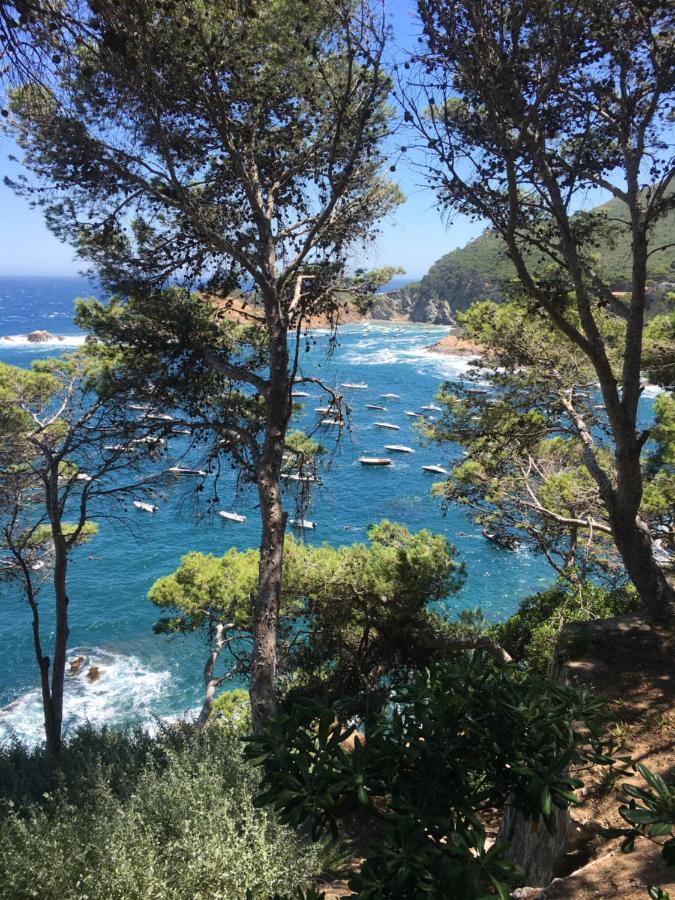 Cap Sa Sal Navy, Begur, Girona Apartman Kültér fotó